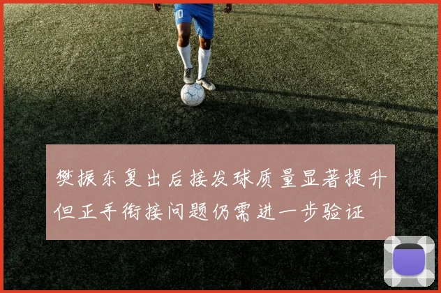 樊振东复出后接发球质量显著提升但正手衔接问题仍需进一步验证